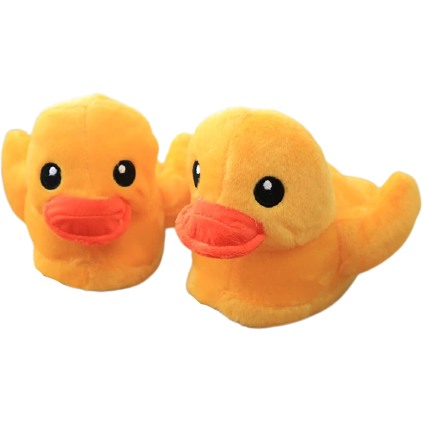 Chaussons Canard