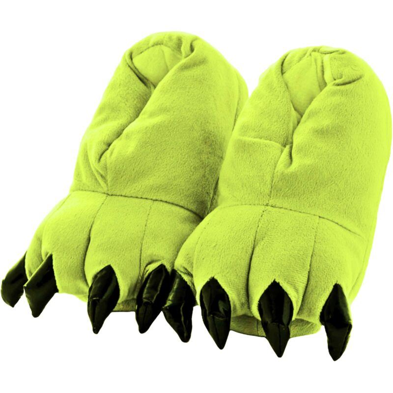 Chaussons Griffes Anis