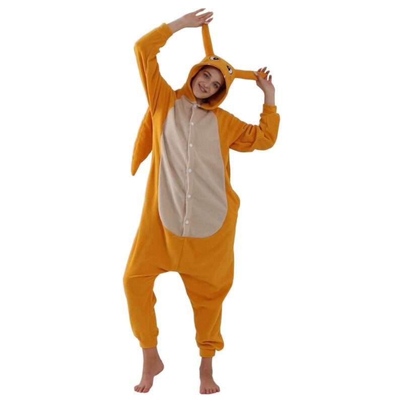 Pilou Pilou Dracaufeu